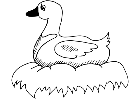 Duck On Nest Coloring Page